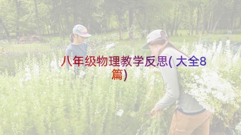 八年级物理教学反思(大全8篇)