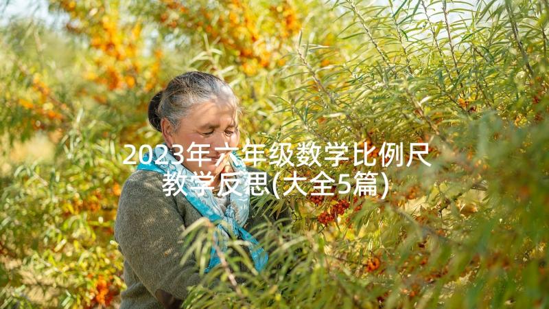 2023年六年级数学比例尺教学反思(大全5篇)