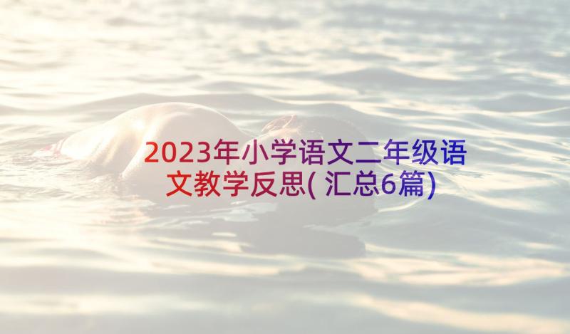 2023年小学语文二年级语文教学反思(汇总6篇)