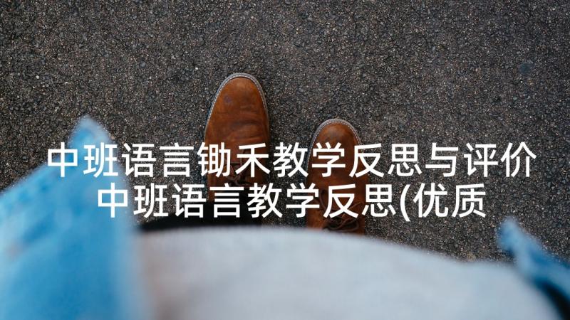 中班语言锄禾教学反思与评价 中班语言教学反思(优质10篇)