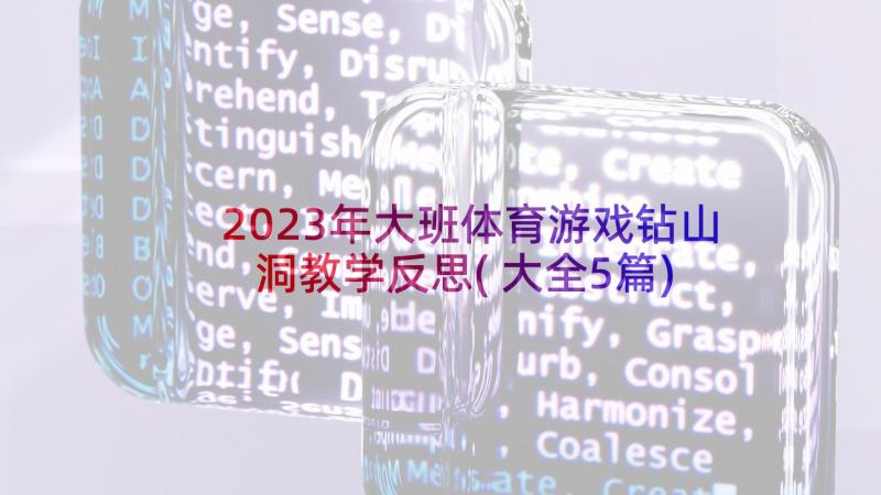 2023年大班体育游戏钻山洞教学反思(大全5篇)