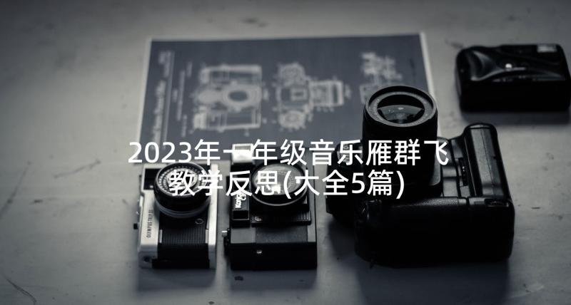 2023年一年级音乐雁群飞教学反思(大全5篇)