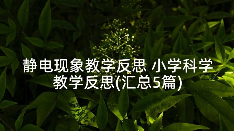 静电现象教学反思 小学科学教学反思(汇总5篇)