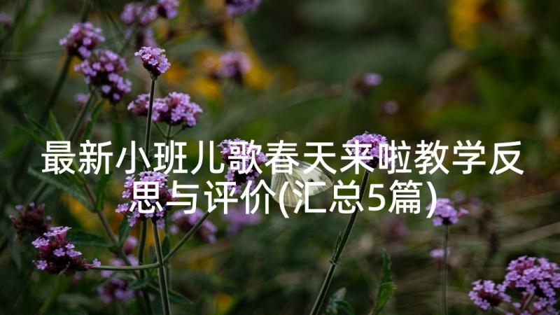 最新小班儿歌春天来啦教学反思与评价(汇总5篇)