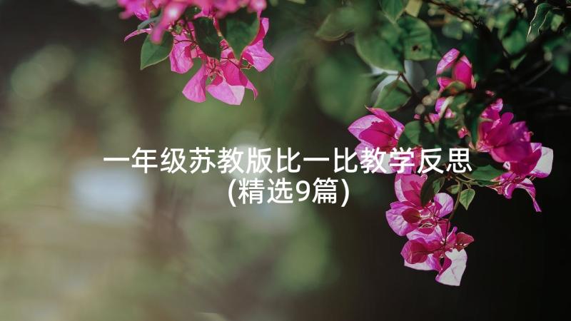 一年级苏教版比一比教学反思(精选9篇)