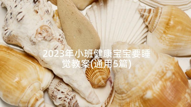 2023年小班健康宝宝要睡觉教案(通用5篇)