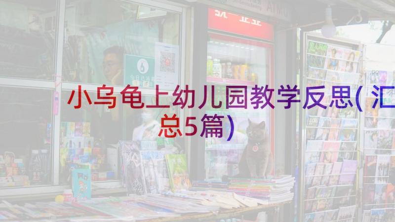 小乌龟上幼儿园教学反思(汇总5篇)