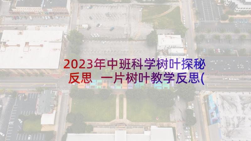 2023年中班科学树叶探秘反思 一片树叶教学反思(模板6篇)