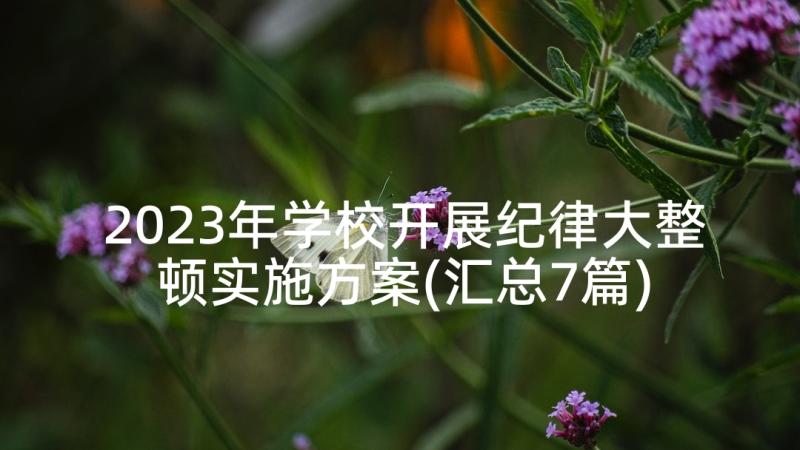 2023年学校开展纪律大整顿实施方案(汇总7篇)