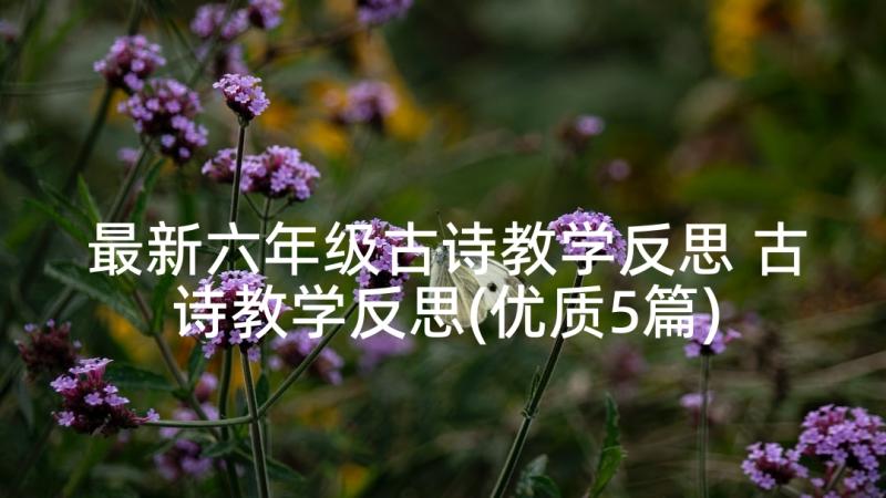 最新六年级古诗教学反思 古诗教学反思(优质5篇)