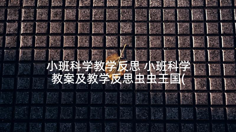 小班科学教学反思 小班科学教案及教学反思虫虫王国(大全8篇)