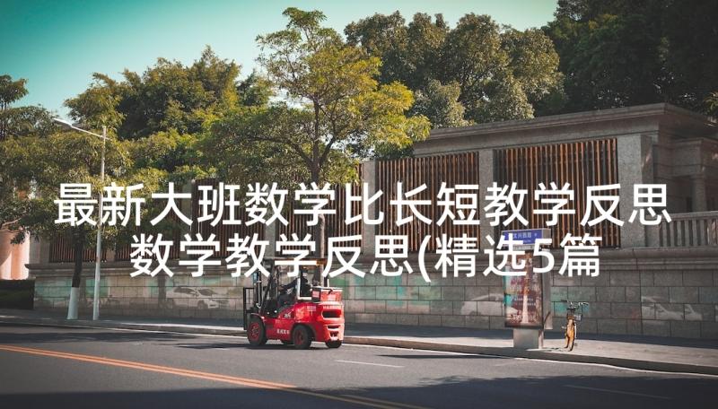 最新大班数学比长短教学反思 数学教学反思(精选5篇)