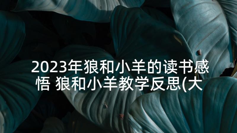 2023年狼和小羊的读书感悟 狼和小羊教学反思(大全7篇)