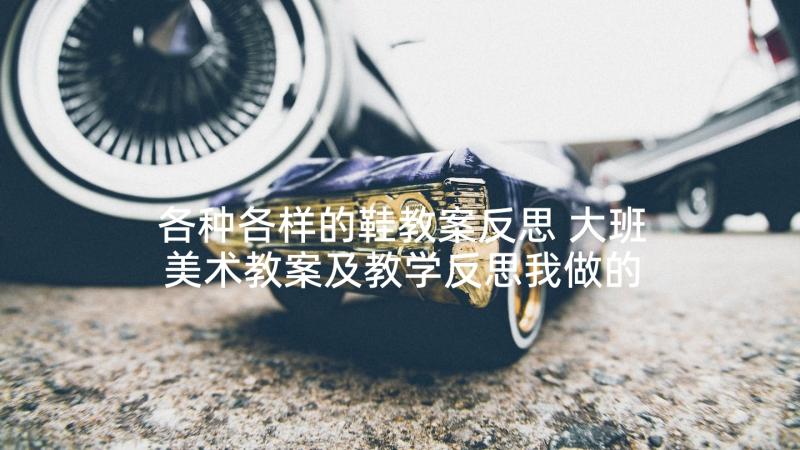 各种各样的鞋教案反思 大班美术教案及教学反思我做的鞋子真漂亮(实用5篇)