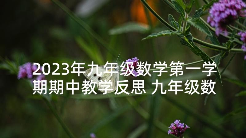 2023年九年级数学第一学期期中教学反思 九年级数学下学期第一轮复习教学反思(汇总5篇)