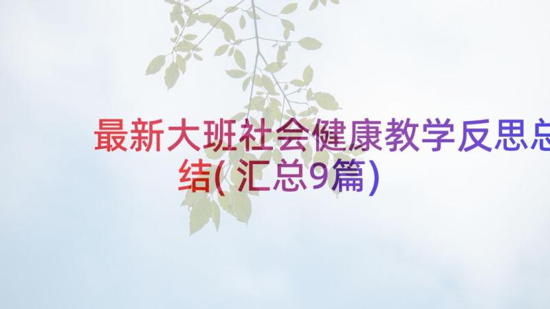 最新大班社会健康教学反思总结(汇总9篇)