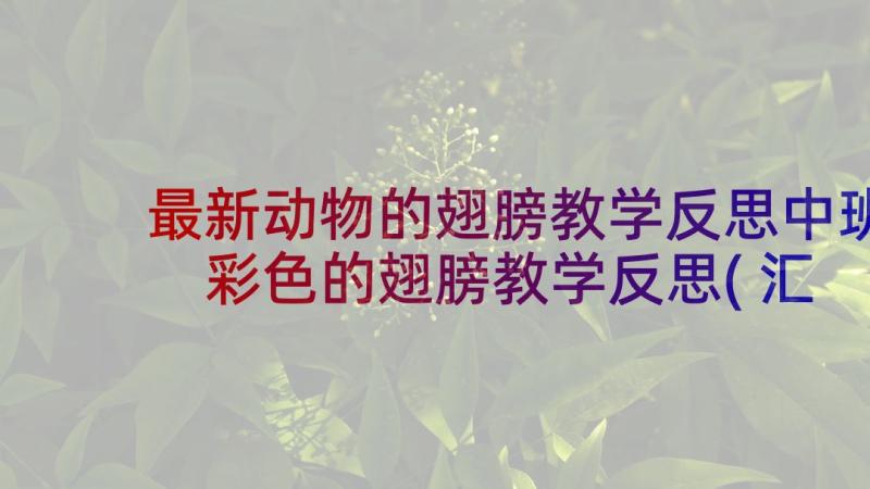 最新动物的翅膀教学反思中班 彩色的翅膀教学反思(汇总5篇)