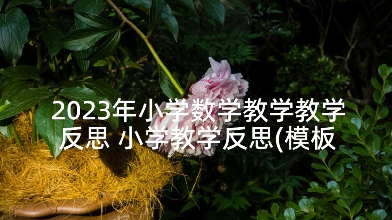 2023年小学数学教学教学反思 小学教学反思(模板7篇)