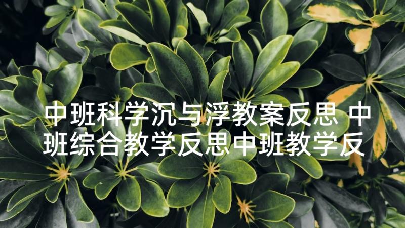 中班科学沉与浮教案反思 中班综合教学反思中班教学反思(优秀5篇)