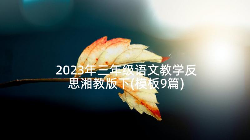 2023年三年级语文教学反思湘教版下(模板9篇)