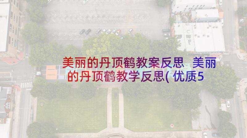 美丽的丹顶鹤教案反思 美丽的丹顶鹤教学反思(优质5篇)