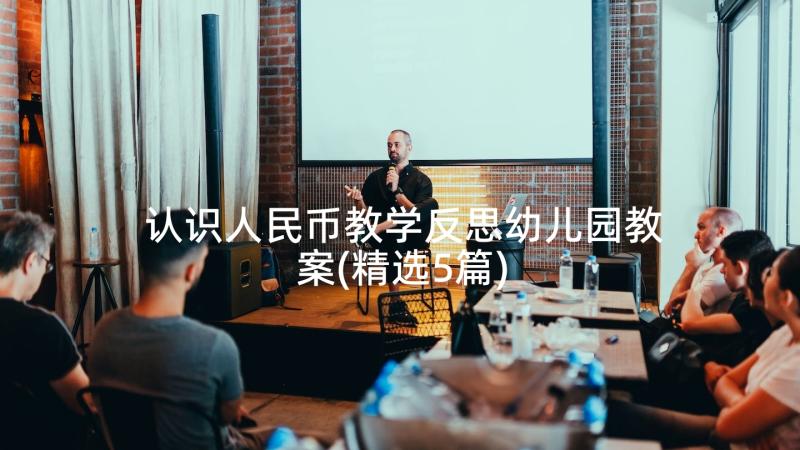 认识人民币教学反思幼儿园教案(精选5篇)