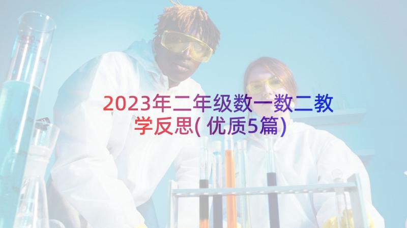 2023年二年级数一数二教学反思(优质5篇)