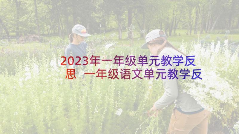 2023年一年级单元教学反思 一年级语文单元教学反思(大全10篇)