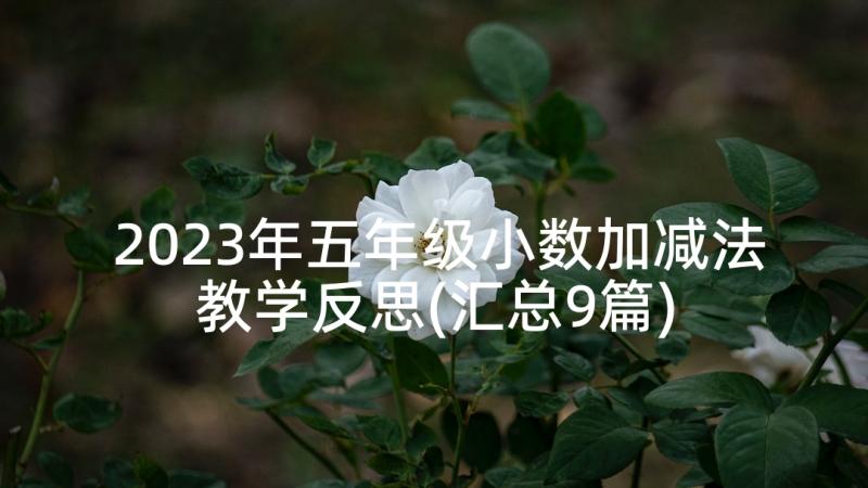 2023年五年级小数加减法教学反思(汇总9篇)