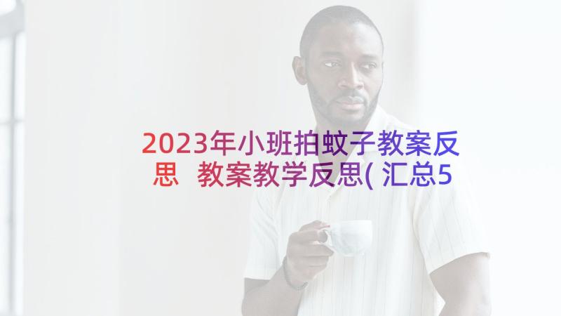 2023年小班拍蚊子教案反思 教案教学反思(汇总5篇)