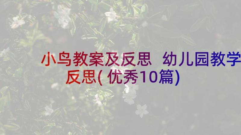 小鸟教案及反思 幼儿园教学反思(优秀10篇)