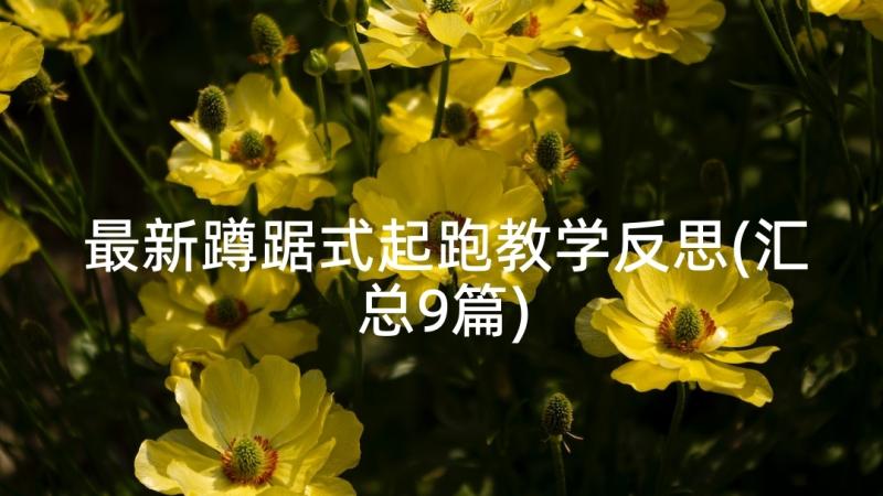 最新蹲踞式起跑教学反思(汇总9篇)