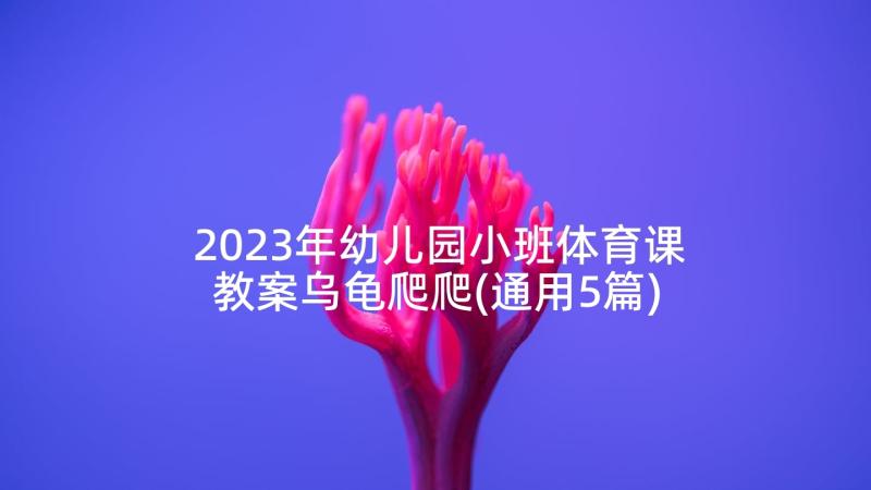 2023年幼儿园小班体育课教案乌龟爬爬(通用5篇)