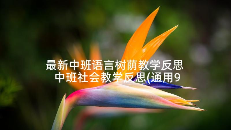 最新中班语言树荫教学反思 中班社会教学反思(通用9篇)