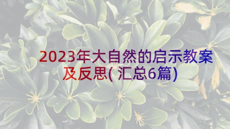 2023年大自然的启示教案及反思(汇总6篇)