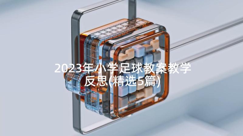 2023年小学足球教案教学反思(精选5篇)