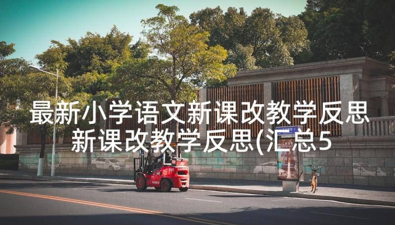 最新小学语文新课改教学反思 新课改教学反思(汇总5篇)