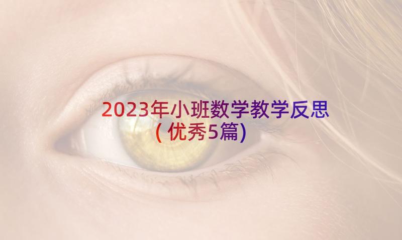 2023年小班数学教学反思(优秀5篇)