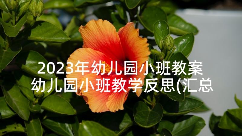 2023年幼儿园小班教案 幼儿园小班教学反思(汇总7篇)