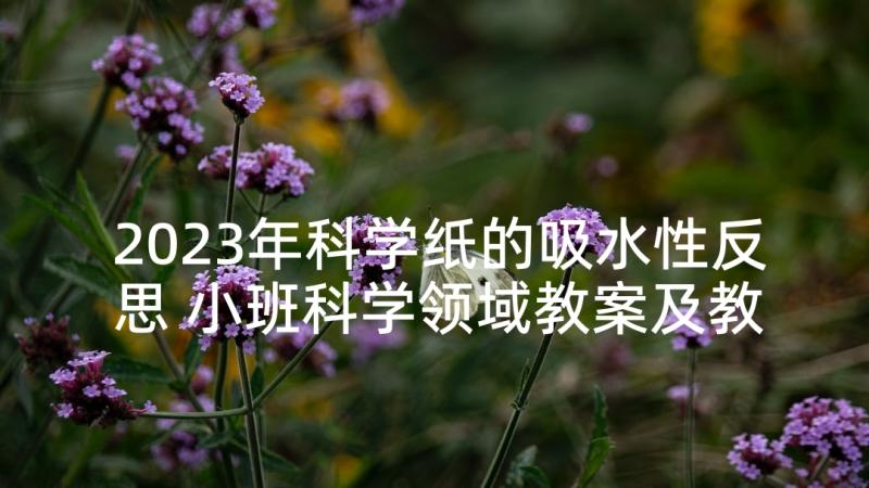 2023年科学纸的吸水性反思 小班科学领域教案及教学反思长鼻子大象(汇总5篇)