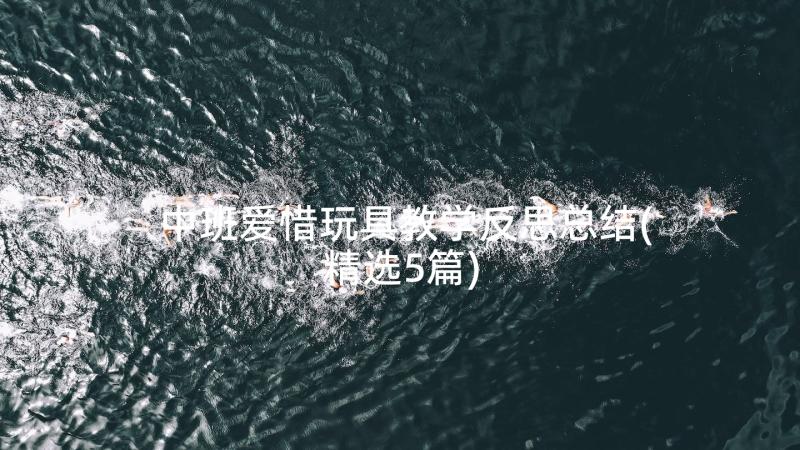 中班爱惜玩具教学反思总结(精选5篇)