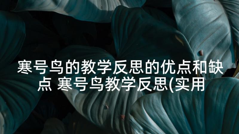 寒号鸟的教学反思的优点和缺点 寒号鸟教学反思(实用5篇)