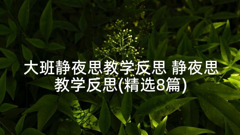 大班静夜思教学反思 静夜思教学反思(精选8篇)