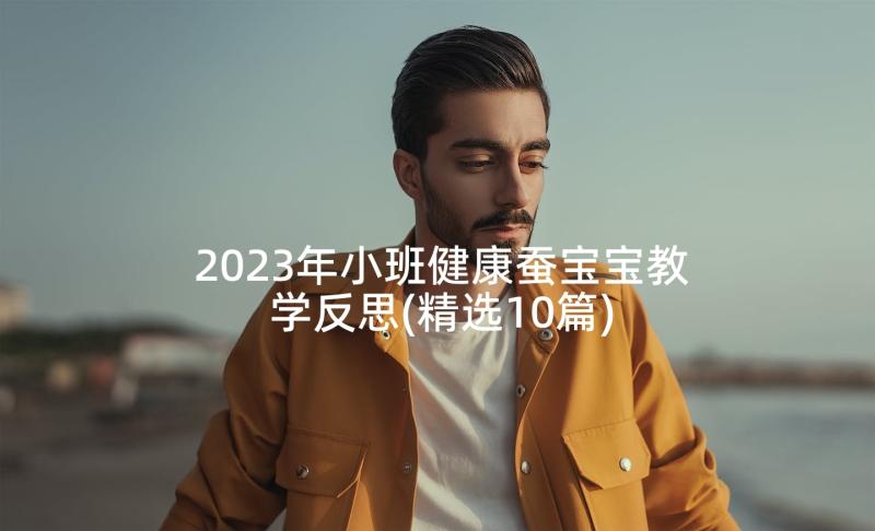 2023年小班健康蚕宝宝教学反思(精选10篇)