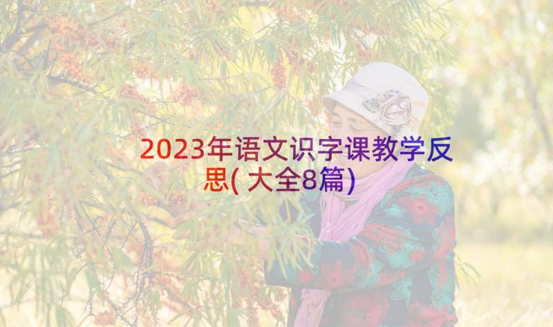 2023年语文识字课教学反思(大全8篇)