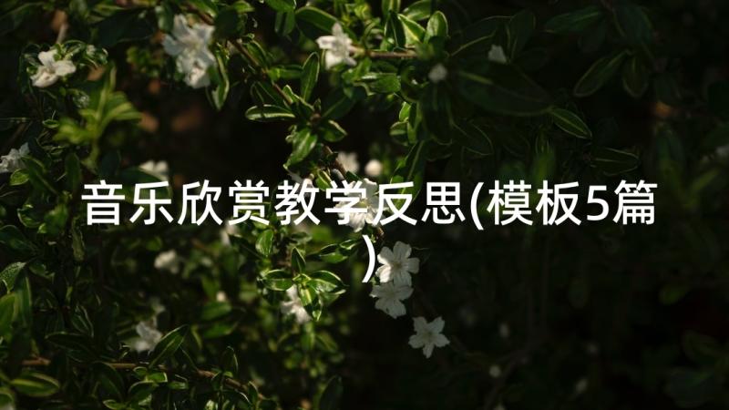 音乐欣赏教学反思(模板5篇)