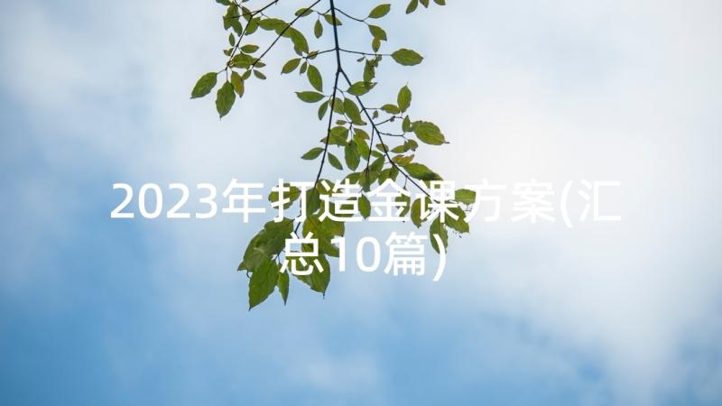 2023年打造金课方案(汇总10篇)