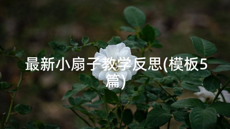 最新小扇子教学反思(模板5篇)