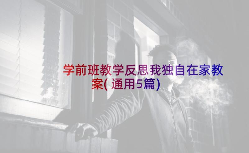 学前班教学反思我独自在家教案(通用5篇)