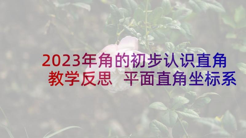 2023年角的初步认识直角教学反思 平面直角坐标系教学反思(汇总5篇)